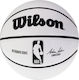 Wilson Autograph Mini Ball Wtb3405xb