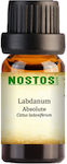 Labdanum Absolute - Labdanum Absolute 1ml