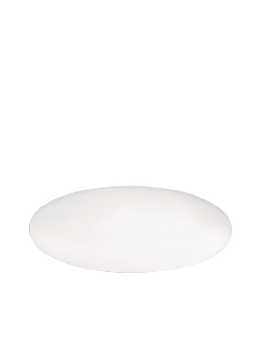 Fine Servierplatte Oval aus Porzellan Weiß 43x19cm 2Stück