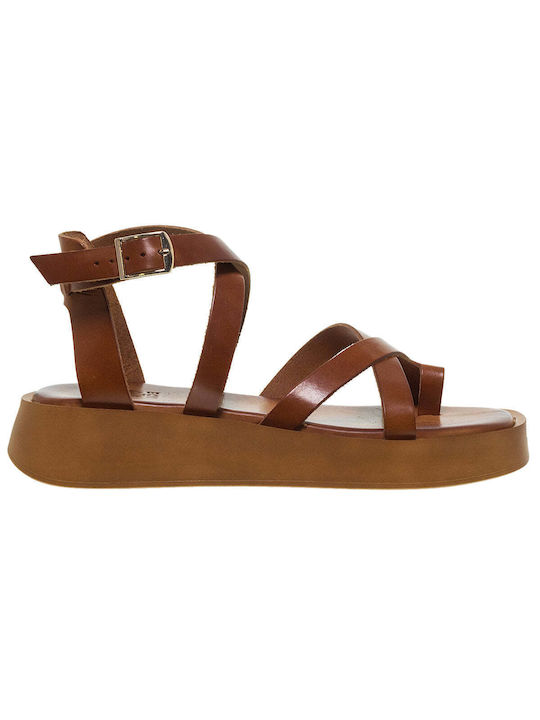 Ace Leder Damen Flache Sandalen in Tabac Braun Farbe