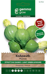 Gemma Samen Kürbisς Zucchini Grün