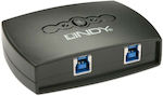 Lindy KVM & Data Switch 43141