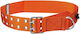Work Belt Orange