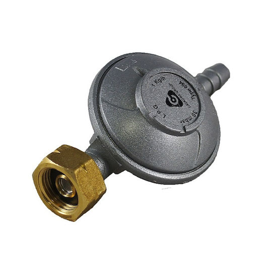 Reca Gasdruckregler Mittlerer Druck Festgelegt Durchfluss 1 kg/h