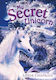My Secret Unicorn A Winter Wish Linda Chapman
