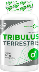 6Pak Nutrition Tribulus Terrestris 90 κάψουλες