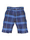 Gant Men's Shorts Blue