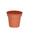 Micplast Daiquiri Pot Plastic Terracotta 20x20x17cm.