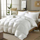 Politishome Hotel Microfiber Quilt Queen Size 220x240cm