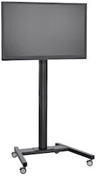 MAX T1544 / T1844 / T2044 Suport TV Pardoseală Până La 80"
