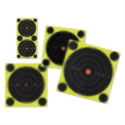 Birchwood Casey Target