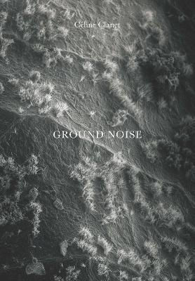 Ground Noise 0314