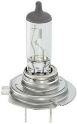 12v - H7 - 55w - Px26d 1Stück Lucas