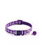 Dog Collar in Purple color