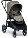 Mamas & Papas Ocarro Adjustable Baby Stroller Suitable for Newborn Nocturn