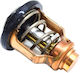 Astika Motor Thermostat