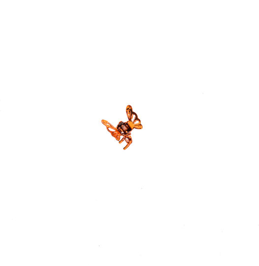 with Butterfly Orange