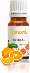 Panora 00886