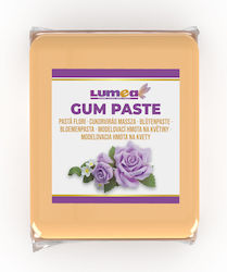 Lumea Lumea Fondantüberzug 500g Orange