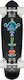Globe Blazer Cruiserboard Complete Shortboard B...