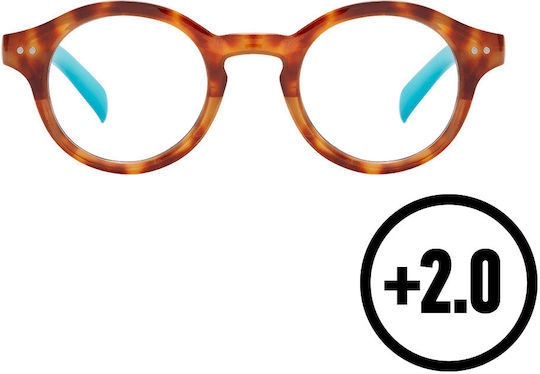 Lesebrille +2.00 in Braun Farbe TG0027-3-1-1