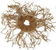 Scrunchie Εκρού