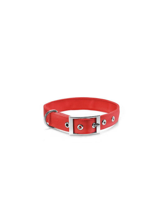 Record Dog Collar in Red color