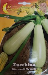 Primasem Seeds Pumpkinς Zucchini 10gr