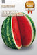 Sgaravatti Samen Wassermelone Crimson Giant