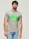 D2 Ovin Neon Vl T-shirt Gray