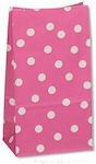 Fuchsia Pouch (24x13x8cm)