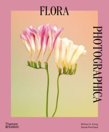 Flora Photographica Danae Panchaud 0328