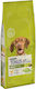 Dog Chow 14kg Dry Food for Adult Dogs with Chicken