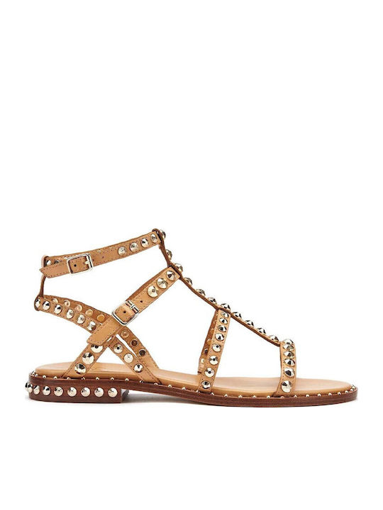 Ash Combo Women's Flat Sandals in Brown Color