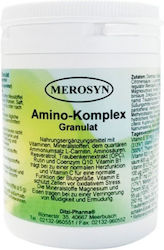 Metapharm Merosyn Amino-komplex Granulat, Food Supplement With L-Carnitine Resveratrol Proanthocyanides Amino Acids & Vitamins 100gr Metapharm Merosyn Amino-komplex Granulat, Food Supplement With L-Carnitine Resveratrol Proanthocyanides Amino Acids & Vitamins 100gr