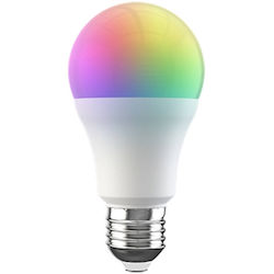 Broadlink Smart LED-Lampe RGB