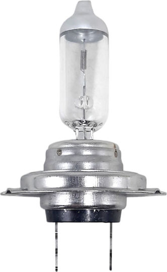 Trifa Lamps Car H7 Halogen 12V 55W 1pcs