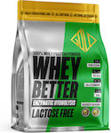 GoldTouch Nutrition Whey Better Concentrate Molkenprotein Ohne Gluten & Laktose mit Geschmack Schokolade 908gr