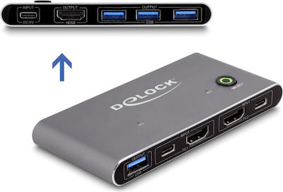 DeLock KVM & Data Switch