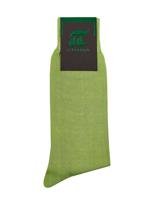 Pournara Men's Socks Light green