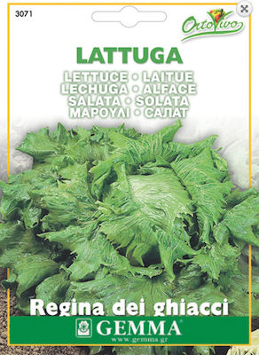 Gemma Seeds Lettuce 1.8gr