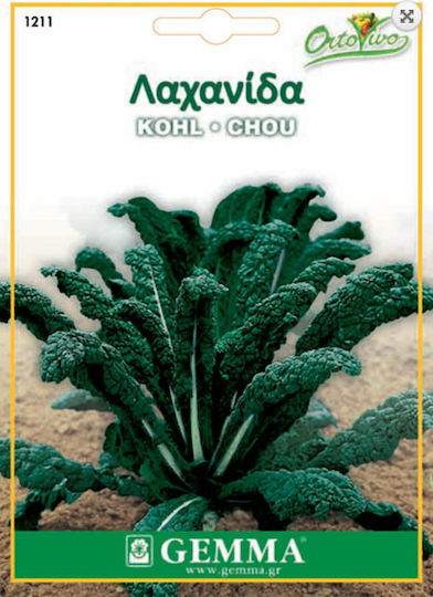Gemma Seeds Kale 2gr