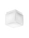 Zafferano Wall-Mounted Outdoor Ceiling Light E27 IP40 16x16x16.5εκ.