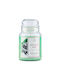 Purple River Lumânare Aromatică din Soia în Borcan Verde 623gr
