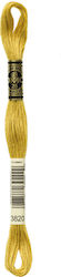 Mullienne Nr. 3820 (117mc_3820)