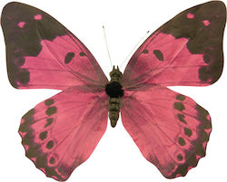 Decorative paper butterfly with wire pink 15x20cm 157.002.0044.96