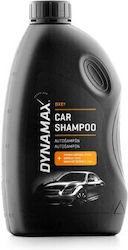 Dynamax Σαμπουάν 1lt