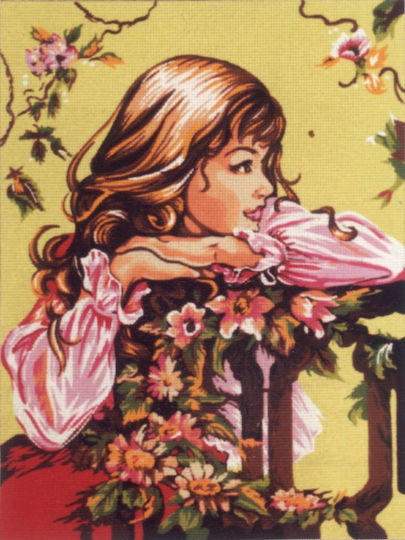 Embroidery Plate Sticking to a canvas 45x60 - Diamant (d564)