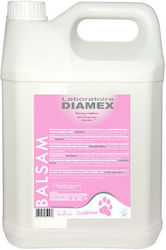 Diamex Laboratory Șampon Pentru Câini 5000ml