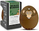BrainStream Kitchen Timer